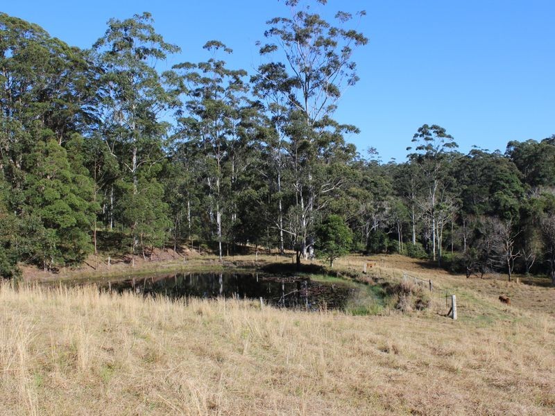 328 Searles Road, Tamban NSW 2441