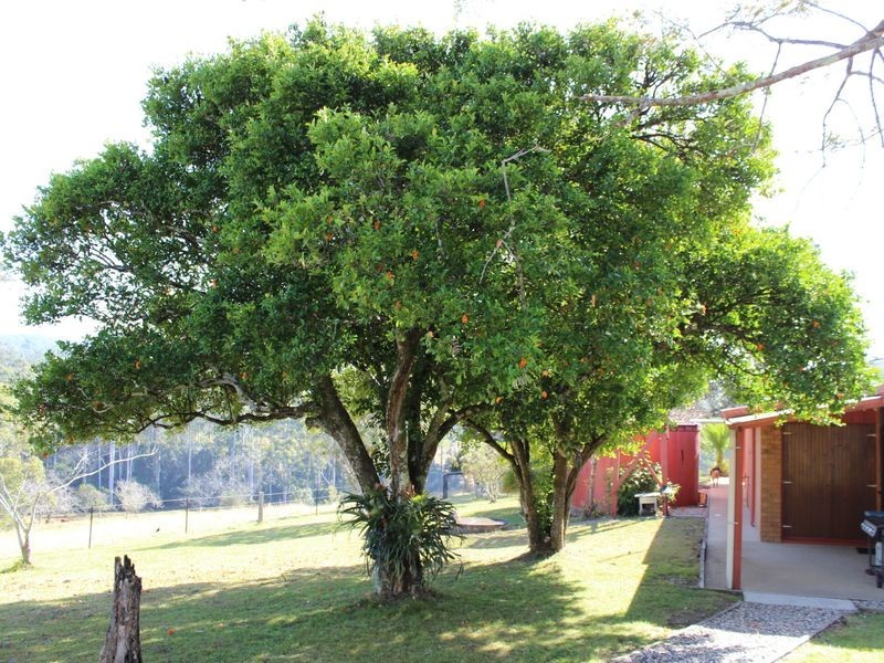 328 Searles Road, Tamban NSW 2441