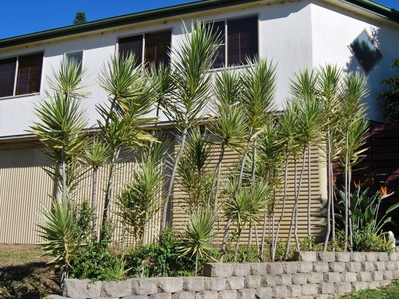 15 NELSON, Nambucca Heads NSW 2448