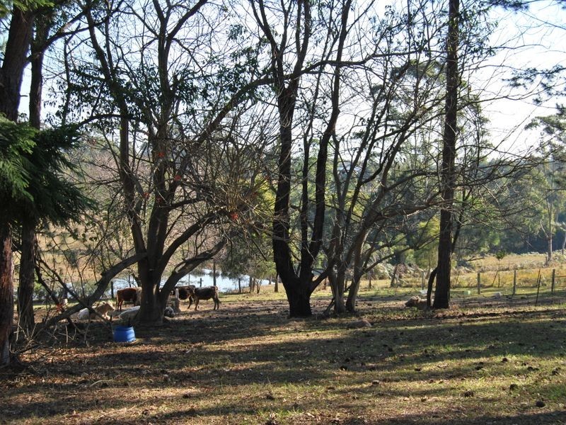 3345 Pacific Highway, Eungai Rail NSW 2441