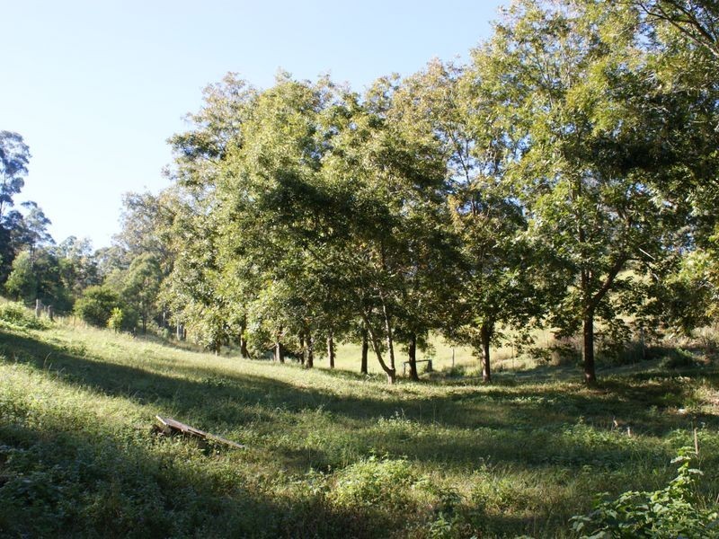 20 Fuerte Dr, Valla NSW 2448