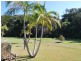 N4-52 White Albatross Park, Nambucca Heads NSW 2448