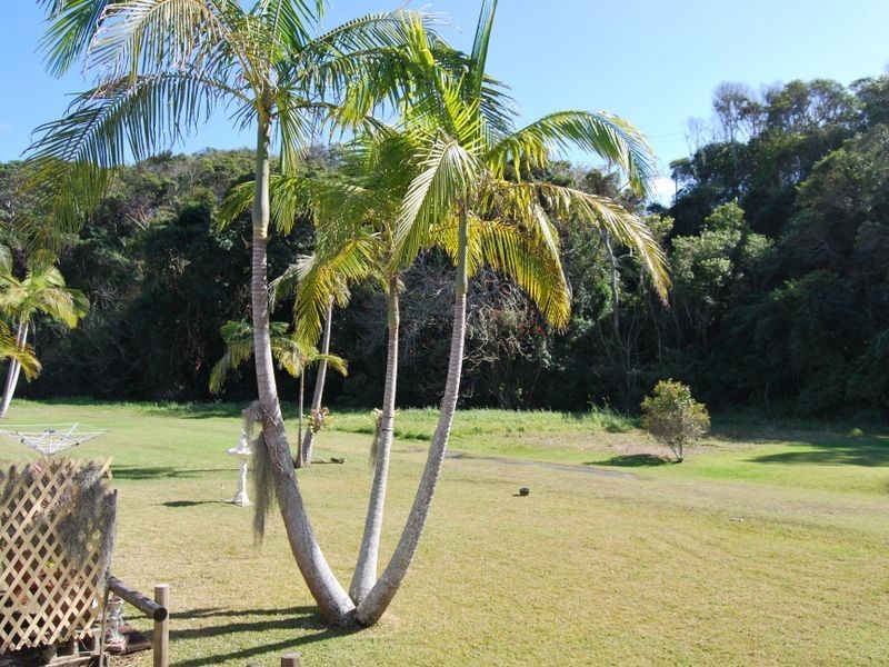 N4-52 White Albatross Park, Nambucca Heads NSW 2448