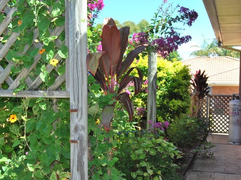 4/2 Pacey, Nambucca Heads NSW 2448