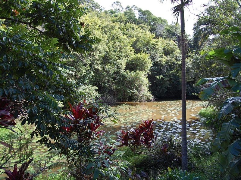 25 Zutano Close, Valla NSW 2448