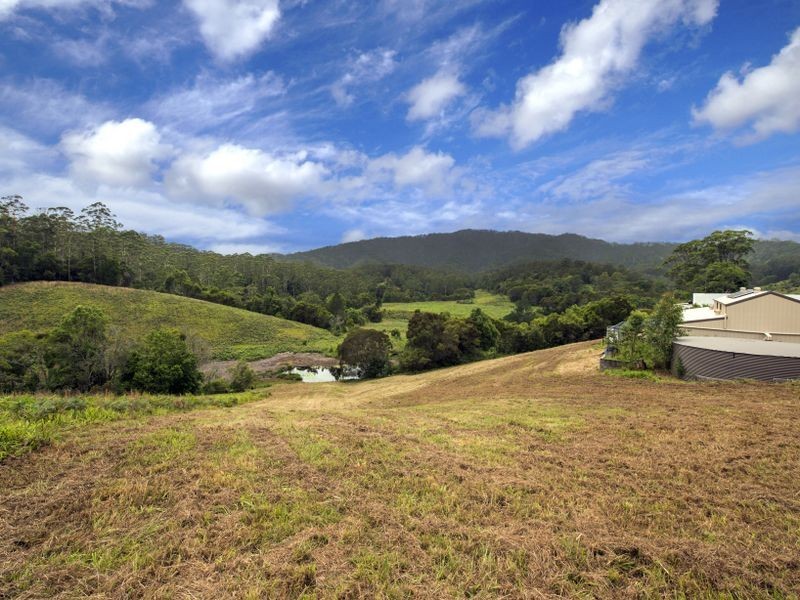 796 Bellingen Road, Missabotti NSW 2449