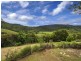 796 Bellingen Road, Missabotti NSW 2449