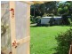 5 headland Park, Nambucca Heads NSW 2448