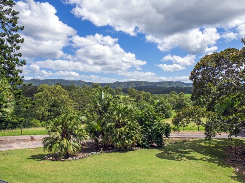 565 Lower Buckra Bendinni Road, Bowraville NSW 2449