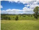 565 Lower Buckra Bendinni Road, Bowraville NSW 2449