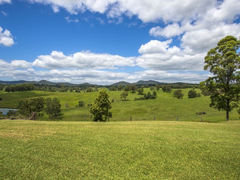 565 Lower Buckra Bendinni Road, Bowraville NSW 2449