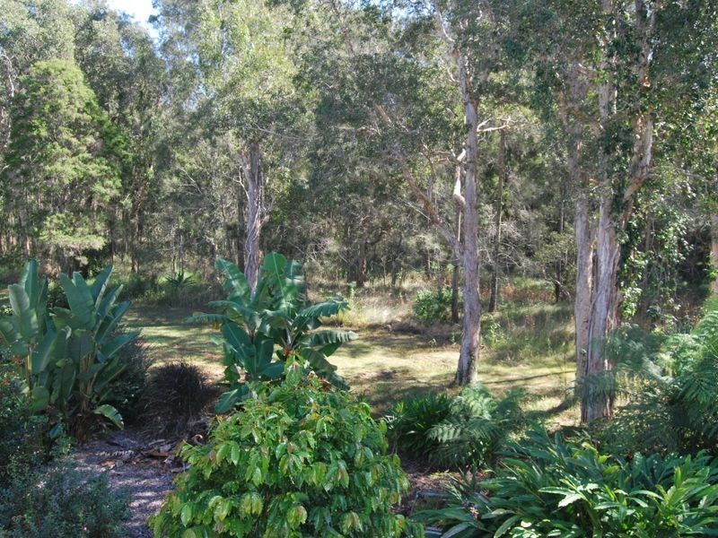 7 Doncaster Pl, Hyland Park NSW 2448