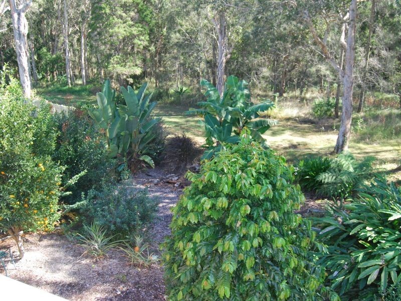 7 Doncaster Pl, Hyland Park NSW 2448