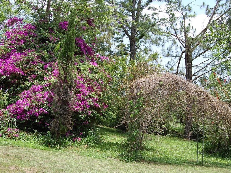 55 Borefield Road, Bowraville NSW 2449