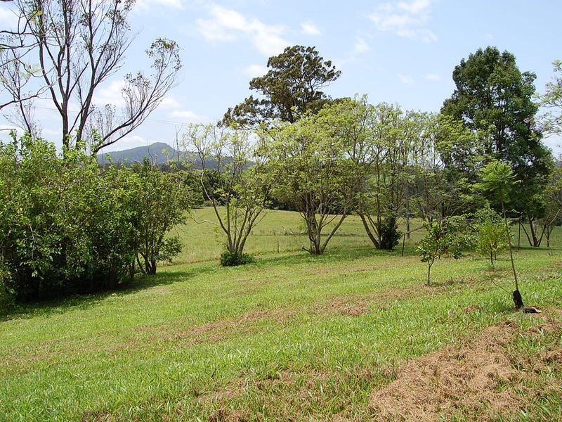 55 Borefield Road, Bowraville NSW 2449