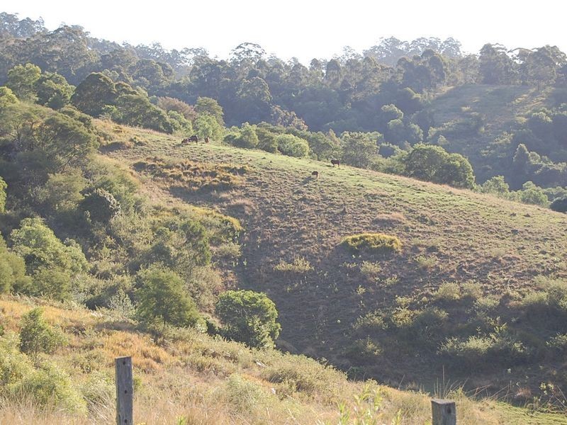 521 Greenhills Rd, Taylors Arm NSW 2447