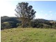 521 Greenhills Rd, Taylors Arm NSW 2447