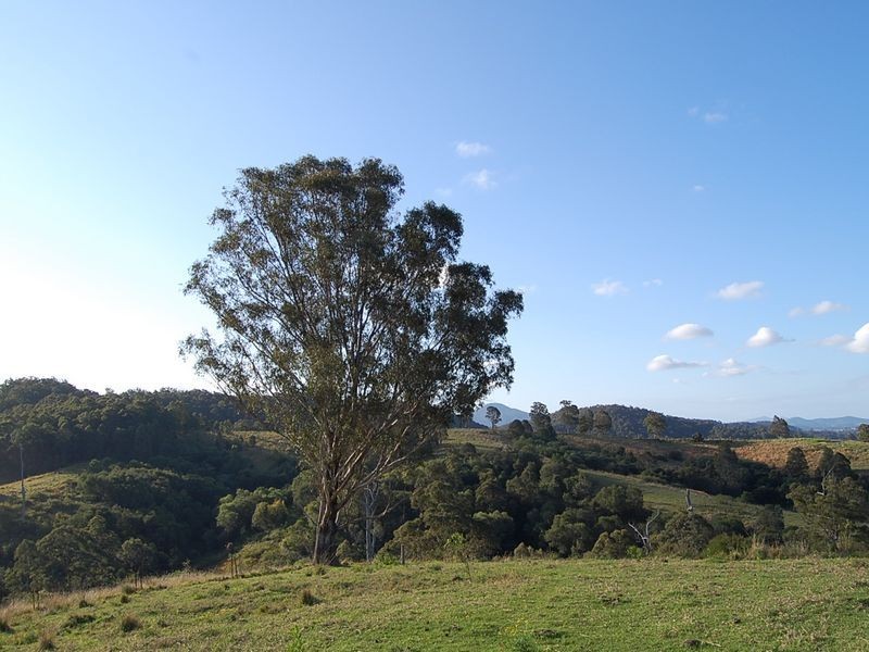 521 Greenhills Rd, Taylors Arm NSW 2447