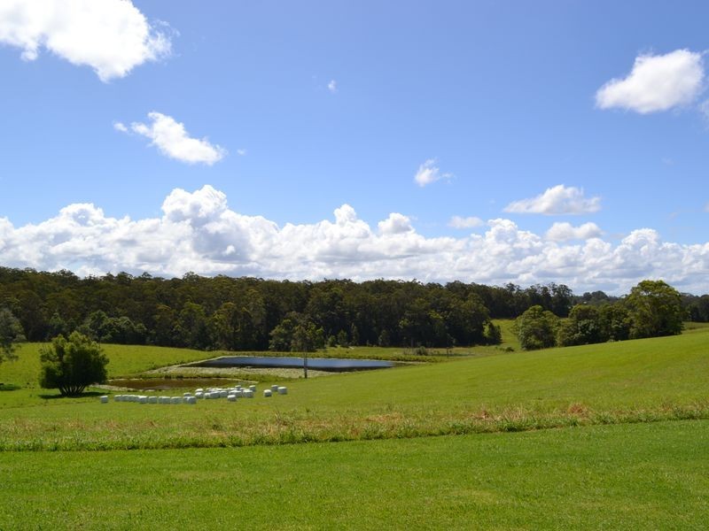 Lot 30 Strawberry Road Upper Warrell  Estate, Macksville NSW 2447