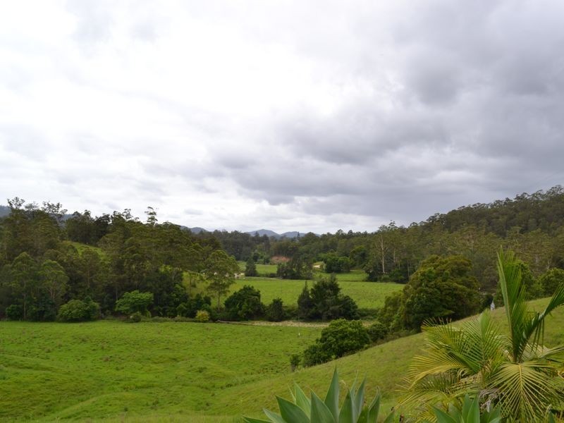 Lot 4 – 20 Upper Buckrabendinni Road, Buckra Bendinni NSW 2449