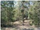 Lot 2 – 20 Upper Buckrabendinni Road, Buckra Bendinni NSW 2449