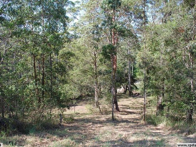 Lot 2 – 20 Upper Buckrabendinni Road, Buckra Bendinni NSW 2449