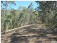 Lot 2 – 20 Upper Buckrabendinni Road, Buckra Bendinni NSW 2449