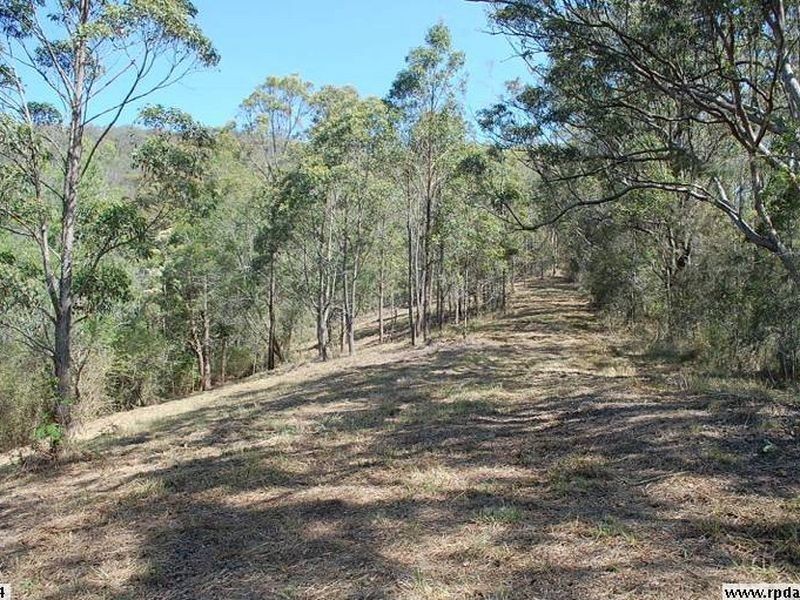 Lot 2 – 20 Upper Buckrabendinni Road, Buckra Bendinni NSW 2449