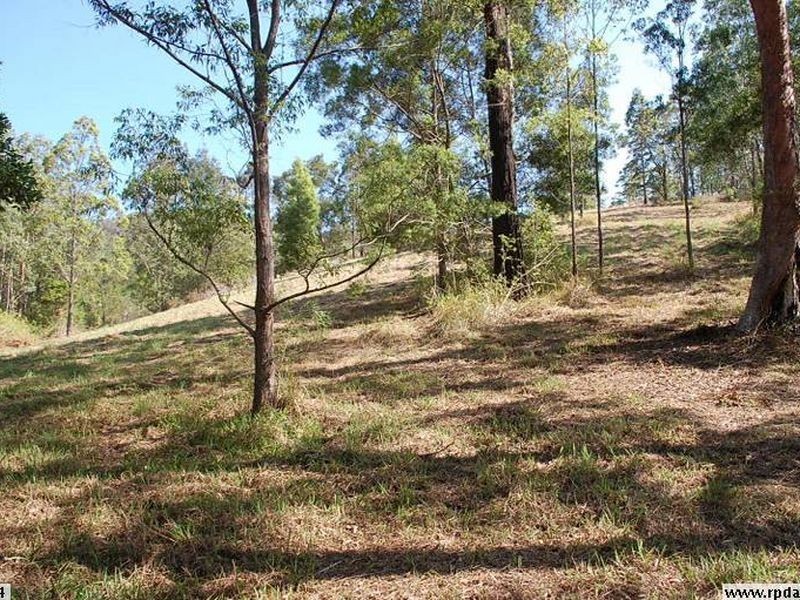 Lot 2 – 20 Upper Buckrabendinni Road, Buckra Bendinni NSW 2449