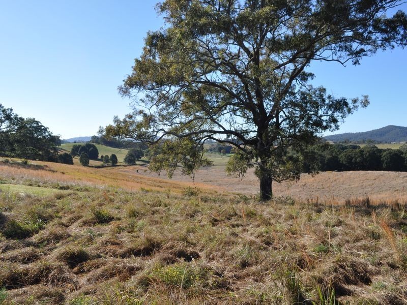 237 Simpsons Ridge Rd, Bowraville NSW 2449