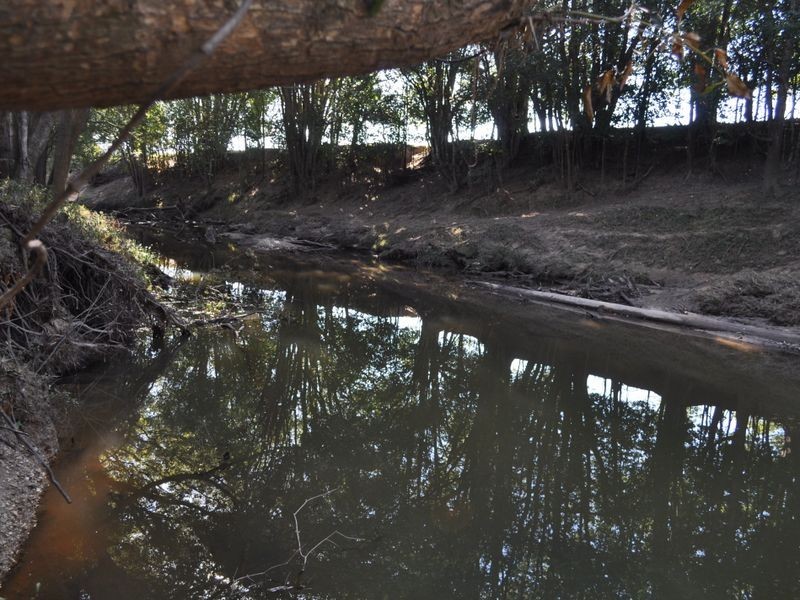 237 Simpsons Ridge Rd, Bowraville NSW 2449