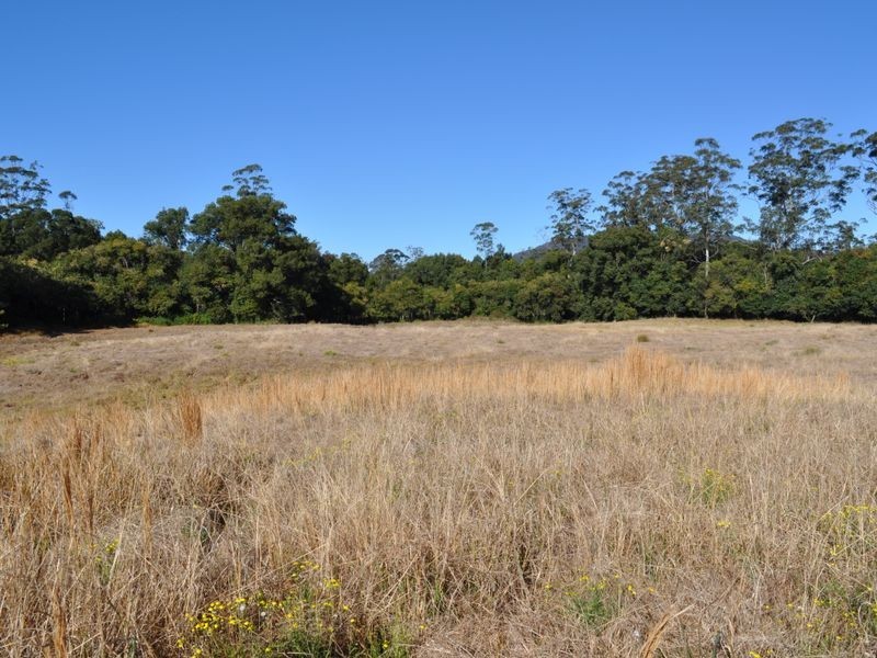 237 Simpsons Ridge Rd, Bowraville NSW 2449