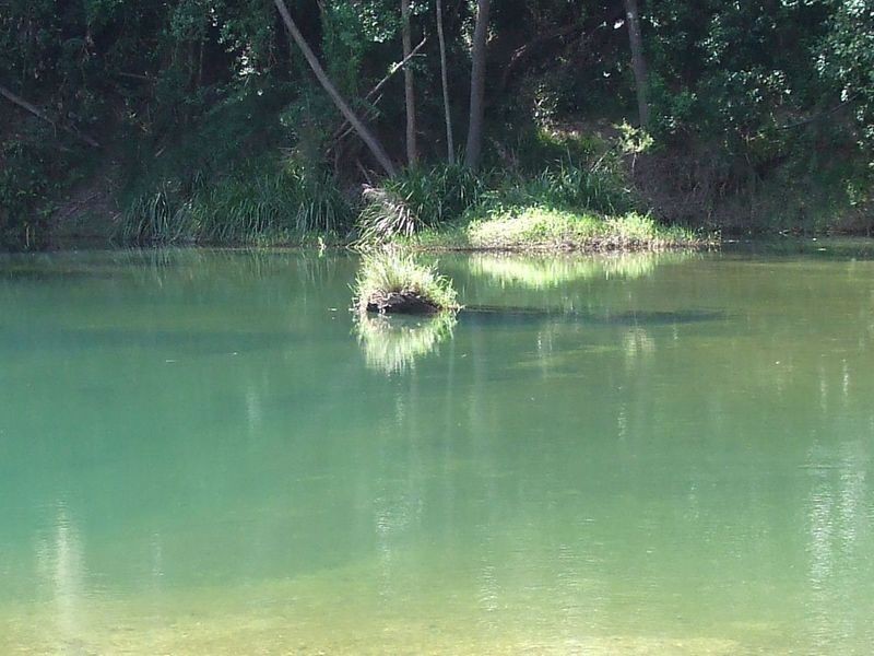 280 Graces Road, Argents Hill NSW 2449