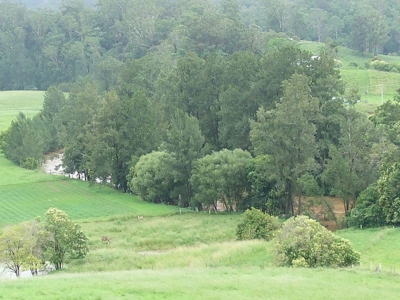 280 Graces Road, Argents Hill NSW 2449