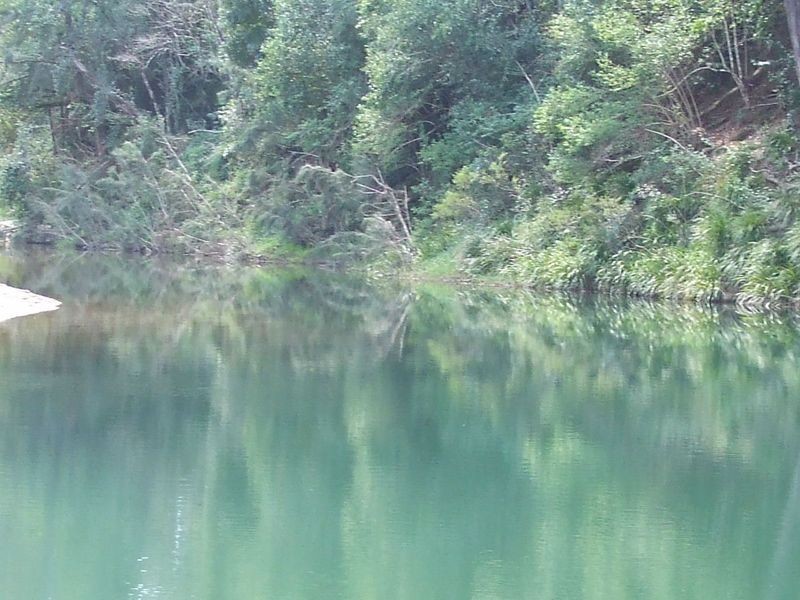 280 Graces Road, Argents Hill NSW 2449