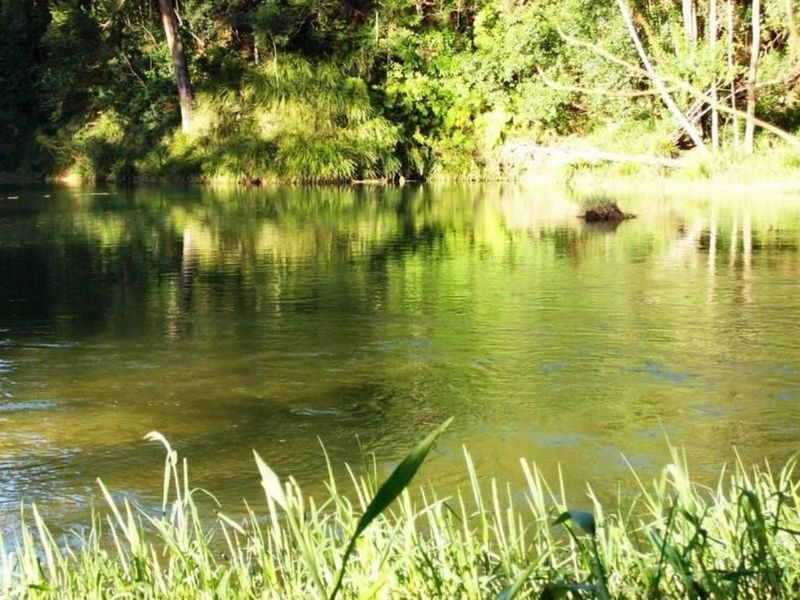 280 Graces Road, Argents Hill NSW 2449