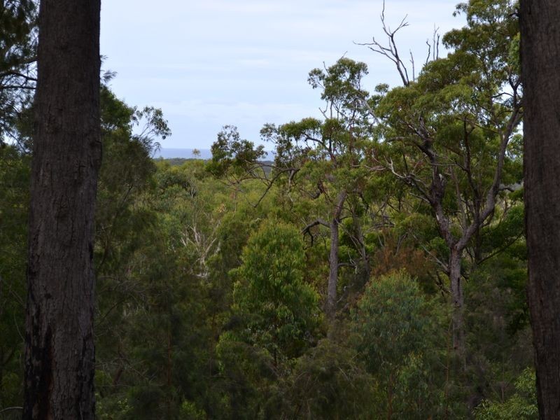 Lot 102 Gumma Road, Gumma NSW 2447