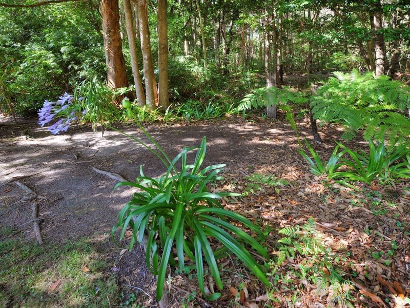 22 Priory Parade, Valla NSW 2448