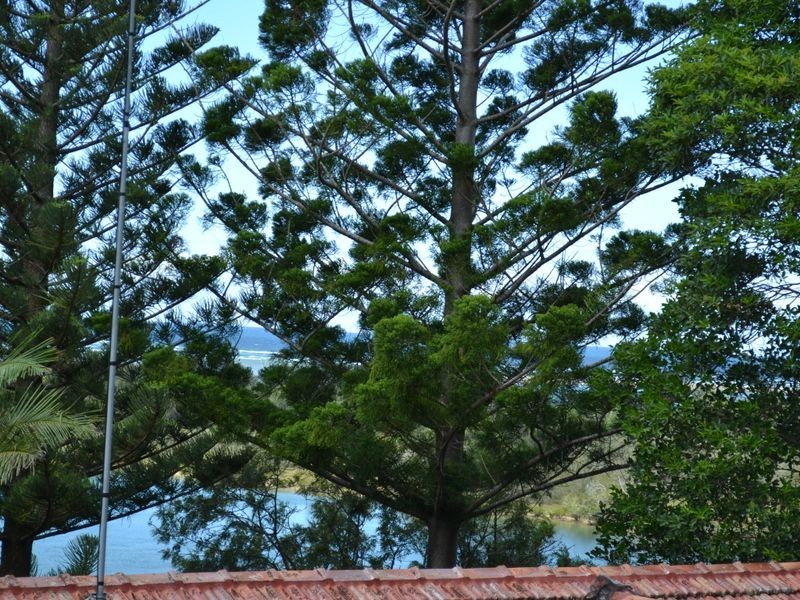 1/4 Nelson Street, Nambucca Heads NSW 2448