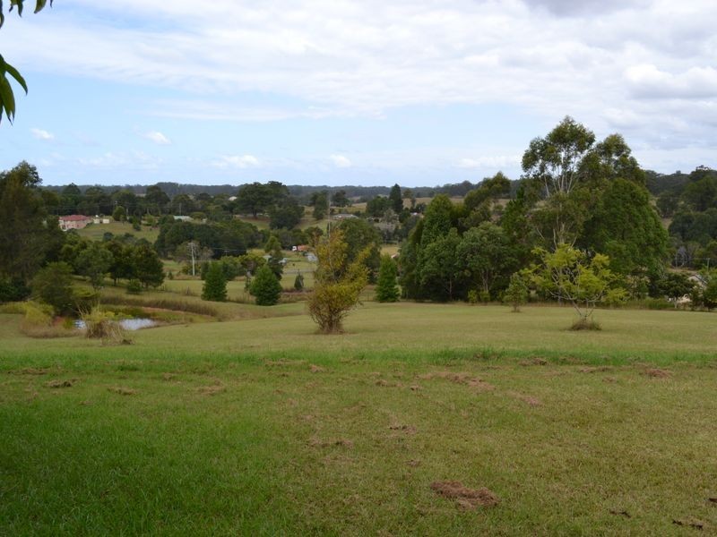 11 Scarbrough Lane, Newee Creek NSW 2447