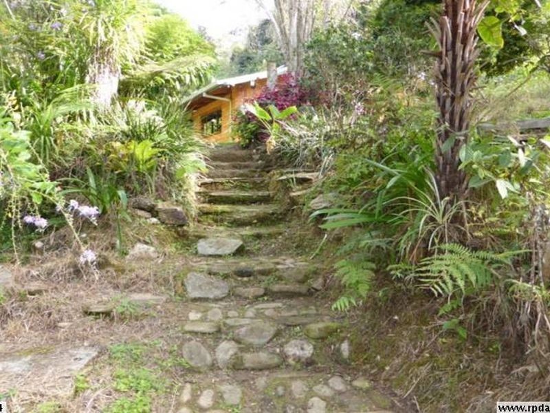 1647 Missabotti Road, Missabotti NSW 2449