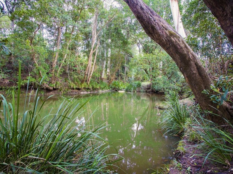 583 Allgomera Road, Allgomera NSW 2441