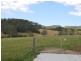 Lot 22 O’Dells Road, Donnellyville NSW 2447