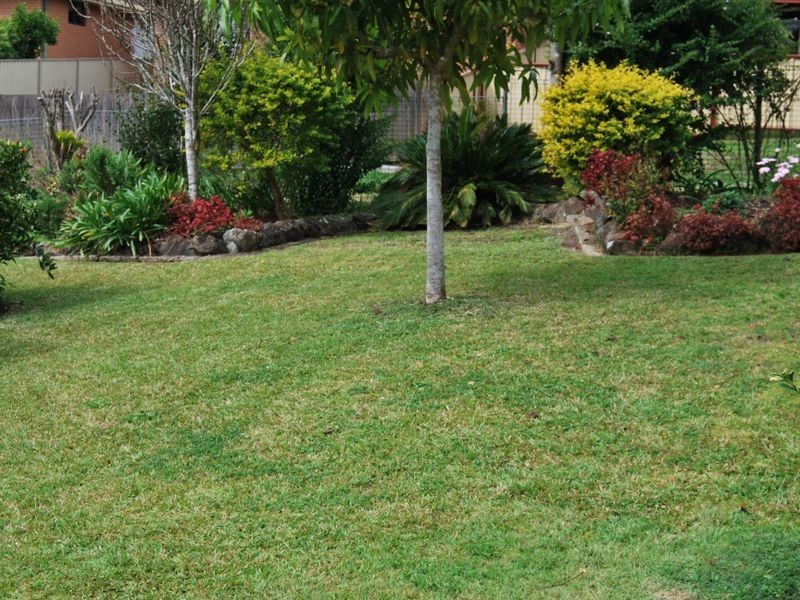 49 Adam Street, Bowraville NSW 2449