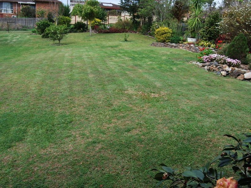 49 Adam Street, Bowraville NSW 2449