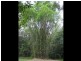 61 Priory Pde, Valla NSW 2448