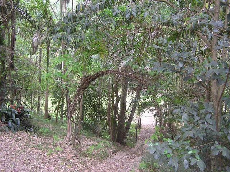 61 Priory Pde, Valla NSW 2448