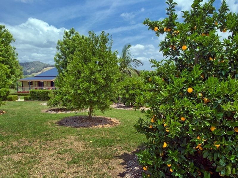 957 Wilson Rd, Congarinni North NSW 2447