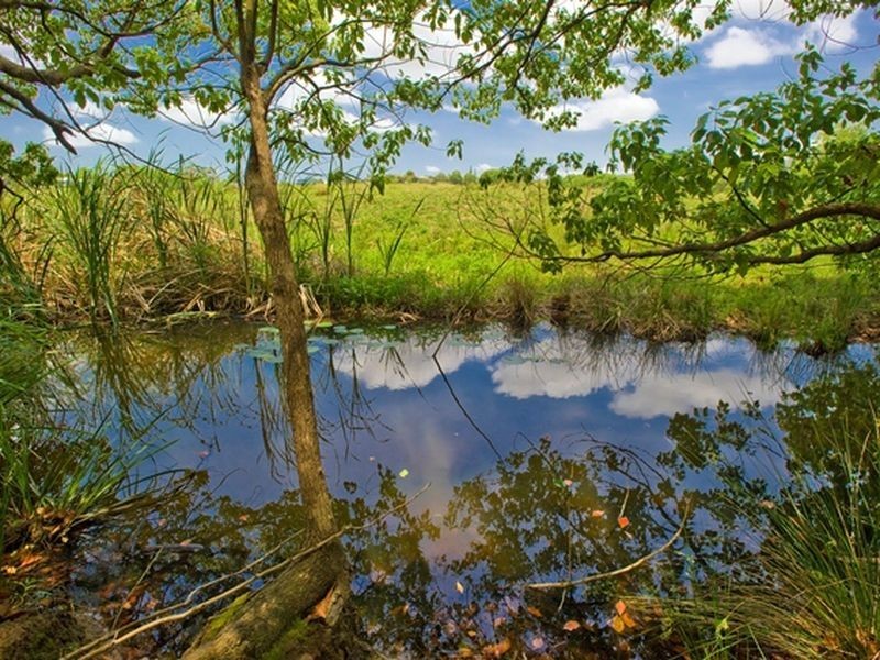 957 Wilson Rd, Congarinni North NSW 2447