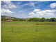 957 Wilson Rd, Congarinni North NSW 2447